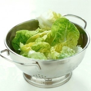 Cabbage