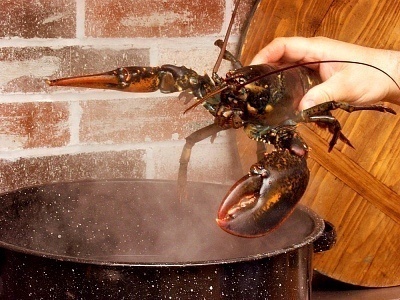 How to Boil Lobster